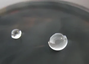 Water droplets resting on a smooth surface, showcasing surface tension and fluid dynamics.
