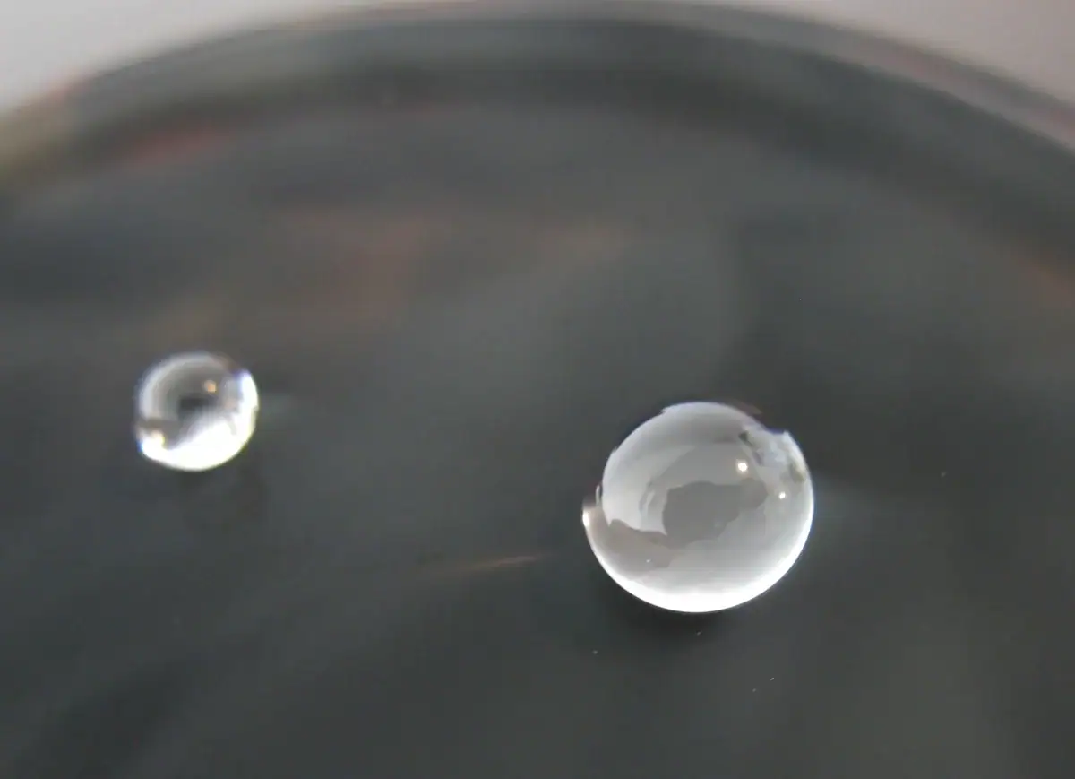 Water droplets resting on a smooth surface, showcasing surface tension and fluid dynamics.
