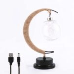 Crescent-shaped lamp with a glass jar and USB power cable, ideal for science-themed decor and educational purposes.
