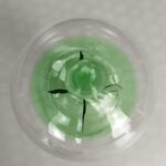 A clear light bulb filled with green liquid, showcasing a scientific and decorative design. Perfect for science-themed decor or educational displays.