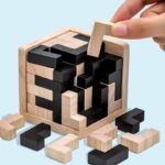 Wooden brain teaser puzzle with black and natural wood pieces, designed for educational and recreational use, perfect for science-themed decor and learning toys.