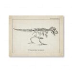Tyrannosaurus Rex skeleton drawing from a vintage scientific plate, showcasing detailed skeletal structure of the prehistoric predator.