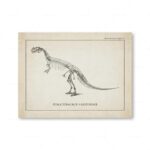 Vintage illustration of a Ceratosaurus skeleton, showcasing detailed skeletal structure and anatomy, from an old paleontology chart.