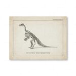Detailed illustration of the Iguanodon Bernissartensis dinosaur skeleton, showcasing its bones and structure for educational purposes.