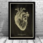 Vintage-style illustration of human heart anatomy, showcasing detailed parts and structure, perfect for educational decor or science enthusiasts.