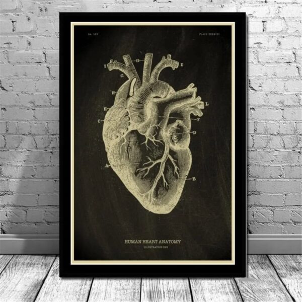 Vintage-style illustration of human heart anatomy, showcasing detailed parts and structure, perfect for educational decor or science enthusiasts.
