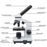 High-quality educational microscope with labeled parts for science learning.