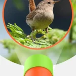 Close-up of a small bird perched on green leaves, viewed through a compact green and orange handheld microscope, ideal for educational science exploration.
