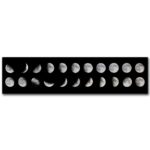 Detailed chart showing the different phases of the moon from new moon to full moon and back, illustrating the lunar cycle.