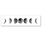 Sequence of moon phases showing the lunar cycle from new moon to full moon and back, ideal for educational purposes and science decor.