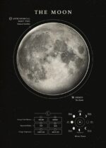 Detailed illustration of the moon's surface, orbit, and phases, ideal for science education and astronomy enthusiasts.