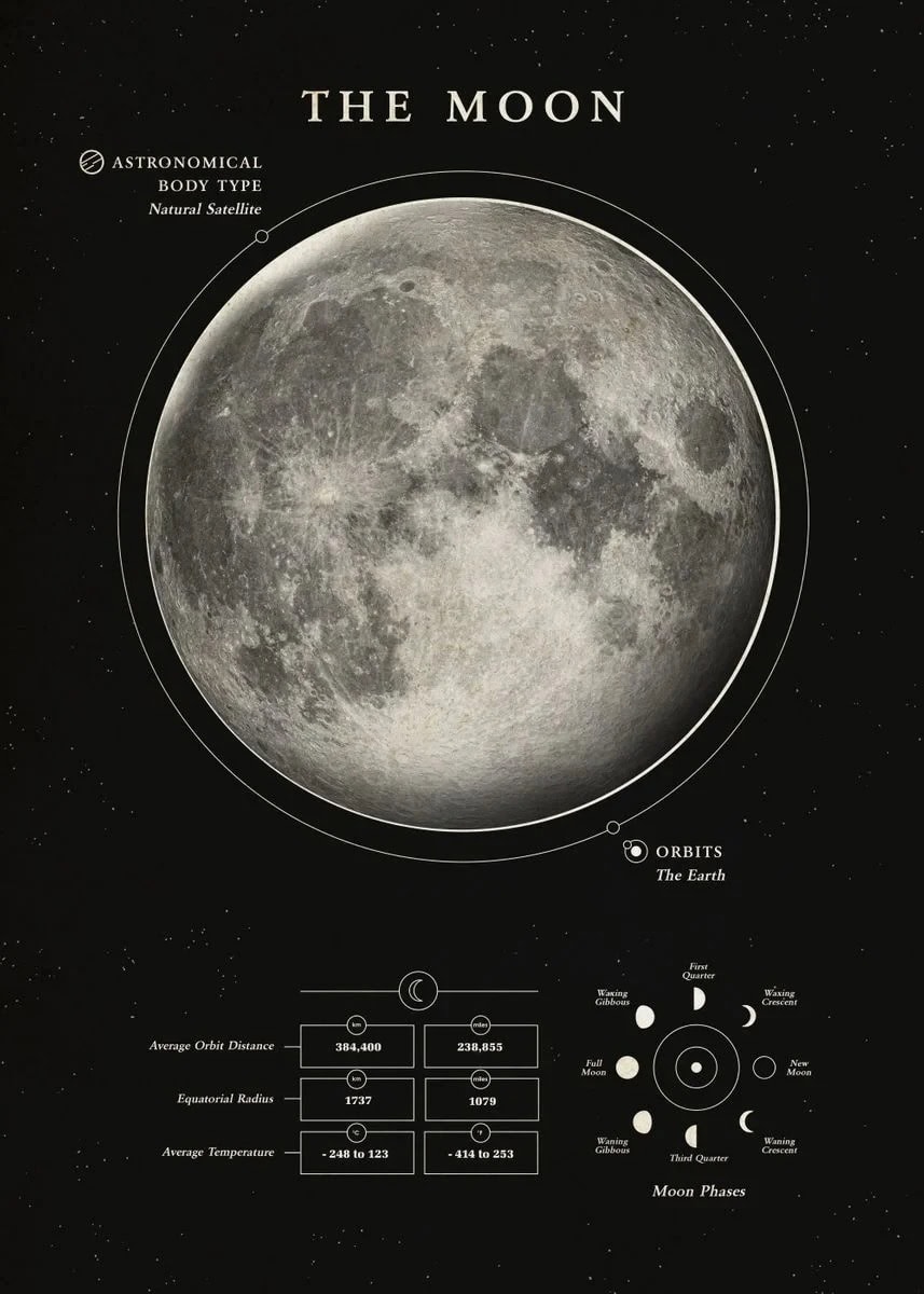 Detailed illustration of the moon's surface, orbit, and phases, ideal for science education and astronomy enthusiasts.
