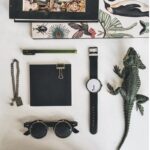 Stylish accessories and educational toys displayed on a white surface, including a watch, sunglasses, notebook, pen, and decorative items like a lizard figurine and vintage insect illustrations.