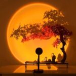 Miniature Japanese bonsai tree illuminated by a warm sunset background, creating a serene and artistic display. Perfect for home decor and educational purposes.