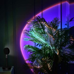 A lush green plant illuminated by colorful neon lights creating a stylish and contemporary ambiance.