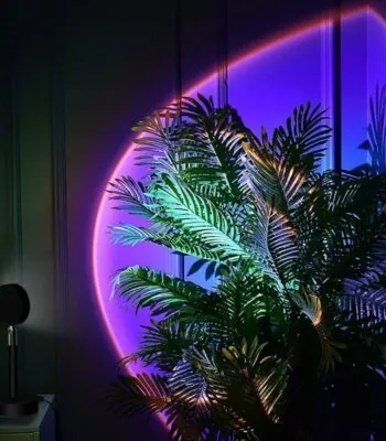 A lush green plant illuminated by colorful neon lights creating a stylish and contemporary ambiance.