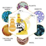 High-quality microscope for educational and scientific exploration of biological specimens.