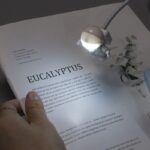 Eucalyptus leaf illuminated by a small desk lamp.
