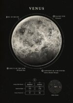 Detailed infographic of the Moon's surface showing its features, orbit, and atmospheric content, ideal for educational purposes and space enthusiasts.