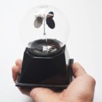 Miniature Butterfly in Glass Dome.