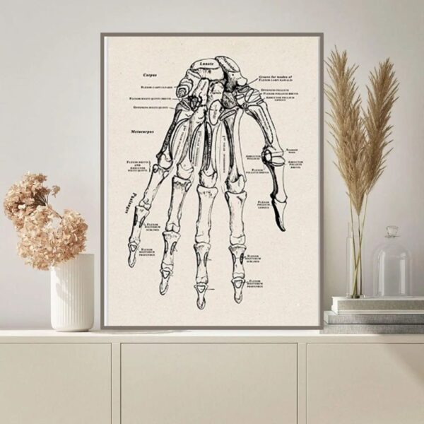 Detailed illustration of a human hand skeleton with labeled bones and joints, ideal for educational and decor purposes.