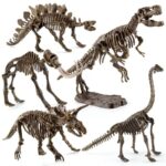 Collection of detailed dinosaur skeleton models including T-Rex, Stegosaurus, Triceratops, and others, perfect for science education, decor, and STEM learning activities.
