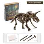 Realistic Triceratops skeleton model for educational and display purposes, includes assembly tools and plaster for a detailed dinosaur replica.