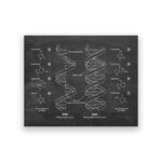 Detailed illustration of DNA and RNA double helix structures with labeled nucleobases, sugars, and phosphate groups, showcasing molecular components of genetic material.