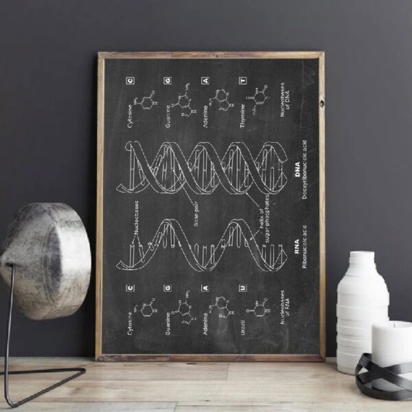 Educational poster illustrating the DNA double helix structure with labeled components like nucleotides, sugar-phosphate backbone, and base pairs, ideal for science classrooms and decor.