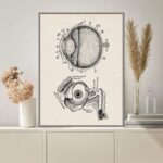 Detailed vintage-style illustration of the human eye anatomy, showing cross-sections of the eye and related structures.