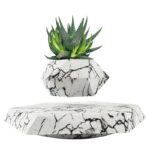 Stylish marble planters with a vibrant green succulent plant, perfect for home decor and educational science displays.