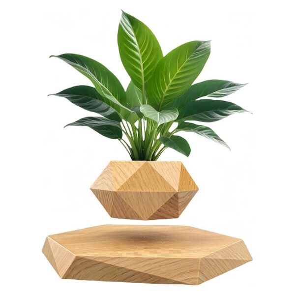Floating Plant in Geometric Wooden Pot.