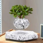 Green succulent plant in a stylish marble-patterned pot, placed on a matching marble stand, on a wooden surface with a neutral background.