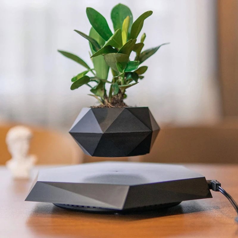 Plant in Geometric Pot on Wireless Charger | Science Gadgets A potted plant with green leaves in a modern geometric black pot, placed on a wireless charging pad on a wooden surface.