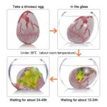Transparent glass bowl with a dinosaur egg replica transforming from a cracked shell to a miniature dinosaur figure as part of a science educational experiment.