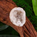 A close-up of a white quartz geode resting on a piece of textured driftwood, with lush green foliage in the background.