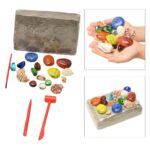 Educational stone and shell excavation kit with tools for children to dig and discover colorful stones and seashells. Perfect for science learning and sensory play.