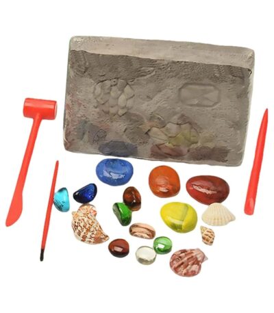 Educational geology and marine life kit with sandstone, seashells, and tools for hands-on learning and exploration.