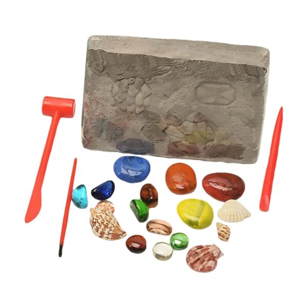 Educational geology and marine life kit with sandstone, seashells, and tools for hands-on learning and exploration.