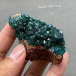 Close-up of a vibrant green mineral crystal cluster on a brown matrix, showcasing sharp, well-formed crystals with a glossy surface.