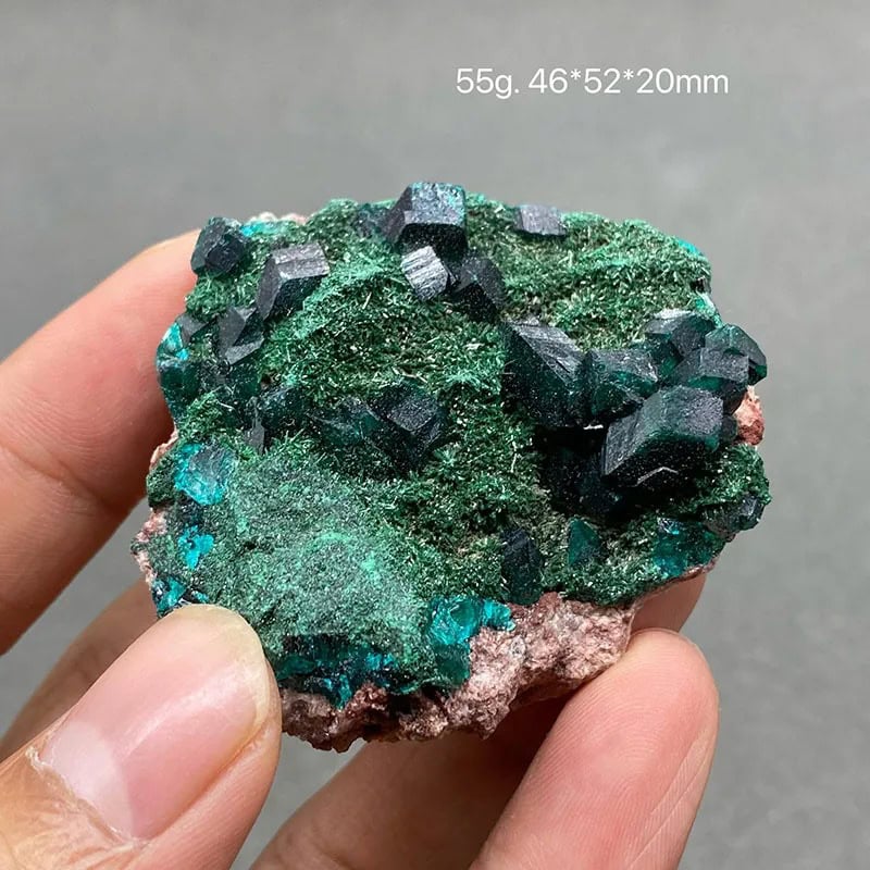 Vivid green and black mineral crystals on a rough rock matrix, perfect for science decor or educational displays.