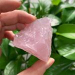 Hand holding a large pink rose quartz crystal with green foliage in the background, showcasing its natural beauty and translucency.