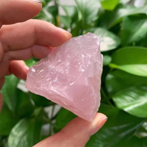 Hand holding a large pink rose quartz crystal with green foliage in the background, showcasing its natural beauty and translucency.