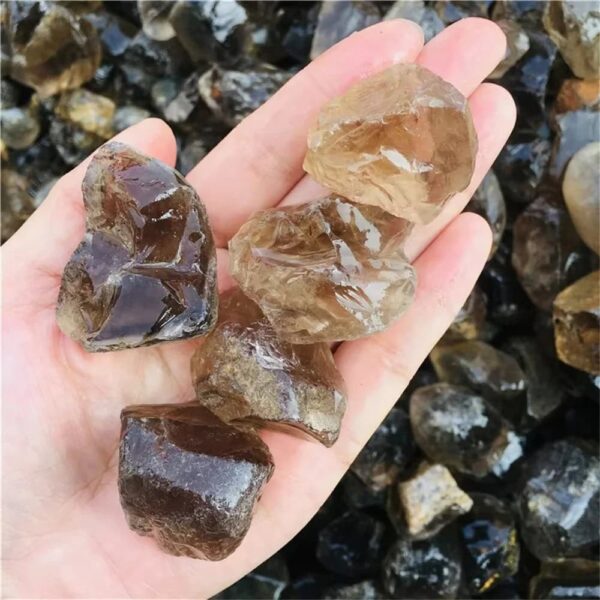 Hand holding five raw quartz crystal stones with a background of more stones, showcasing natural mineral formations.