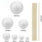 White Styrofoam Balls with Wooden Skewers for Science Projects.