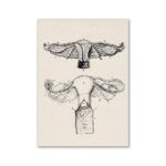 Detailed scientific illustrations of insect wings and plant structures, showcasing intricate line work and anatomical accuracy.