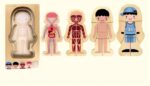 Educational human body model set featuring anatomical diagrams of the skeleton, circulatory system, muscular system, and a cartoon child figure for learning anatomy.