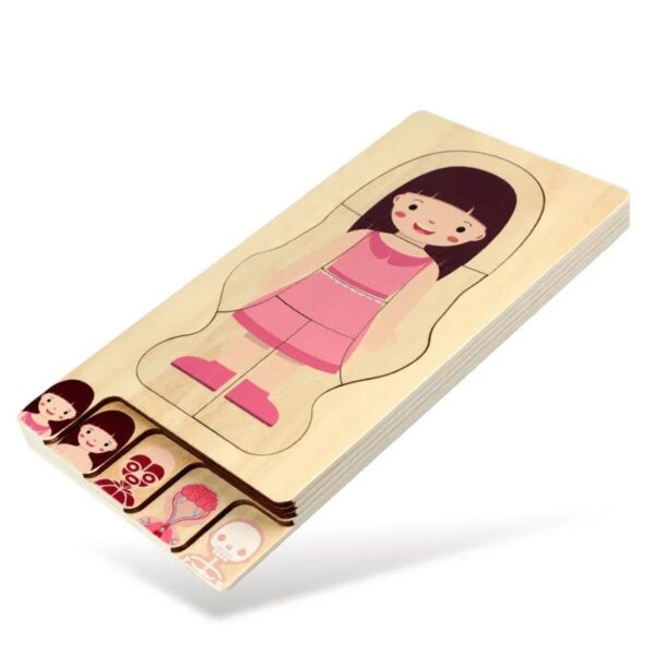 Wooden puzzle featuring a cartoon girl with a pink dress, designed for children to assemble and learn about body parts and clothing.