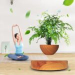 Indoor air purifying plant with lush green foliage in a wooden pot, complemented by a woman practicing yoga in a serene indoor setting.