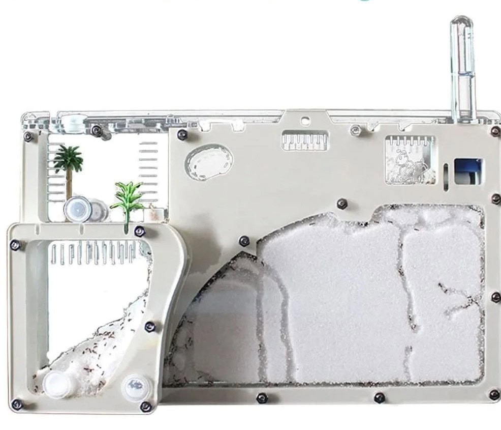 Miniature scientific experiment setup with transparent components and white textured surfaces.